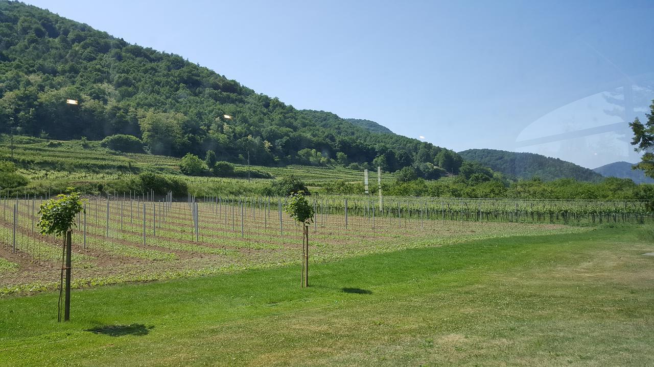 Gasthof Zur Wachau Hofarnsdorf المظهر الخارجي الصورة